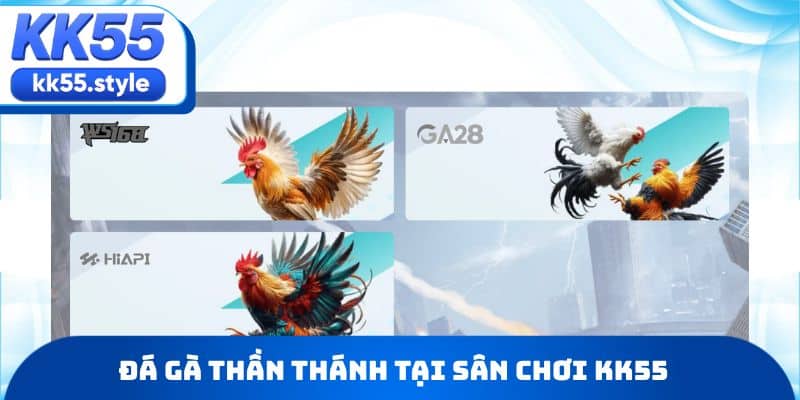 Đá gà thần thánh tại sân chơi KK55